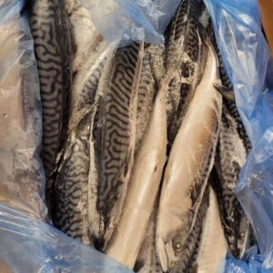 Frozen Mackerel Fish 20kg Free next working day delivery