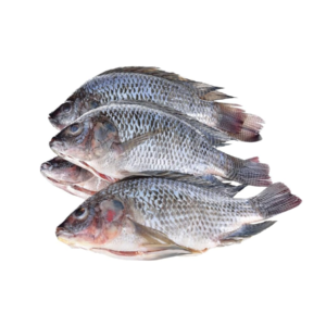 Big Tilapia Fish 3kg X Pack of 2 (Free shipping next working day delivery)